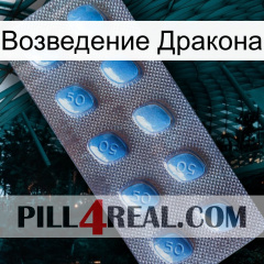 Возведение Дракона viagra3